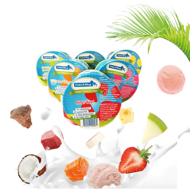 12x Hundeeis Starter-Schleckbox  mit veganer Coco Bello Eiscreme - 7 Sorten à 90ml